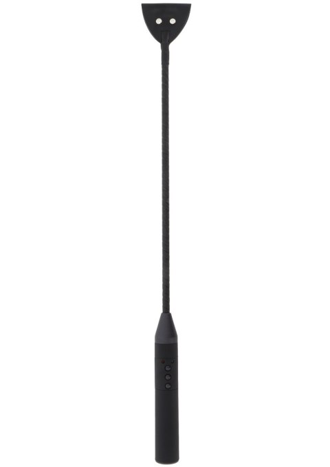 Extreme Electro Riding Crop Hidden Desire