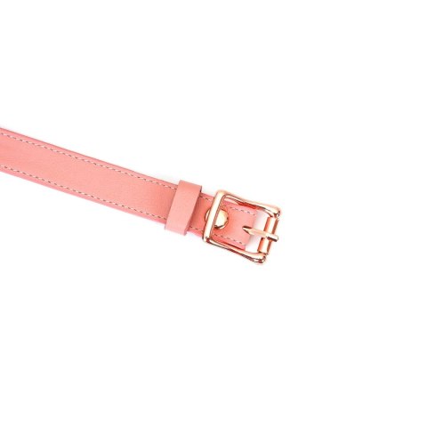 Knebel różowy Pink Dream Ball Gag Liebe Seele