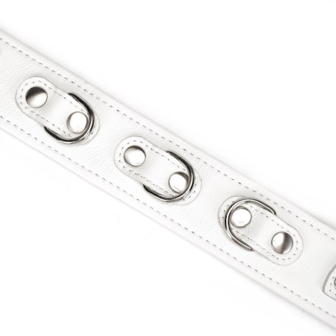 Obróżka Ze Smyczą Fuji White Collar With Leash Liebe Seele
