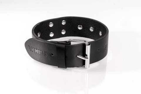 Obroża z ćwiekami czarna L Primal Bond Whips