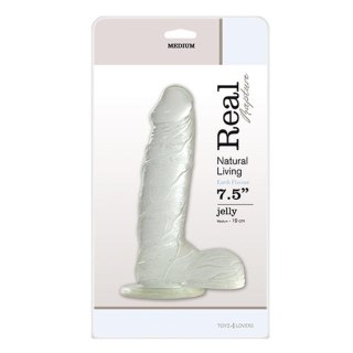 Dildo silikonowe 19cm przeźroczyste JELLY DILDO REAL RAPTURE CLEAR MSX Distribution S.r.l.