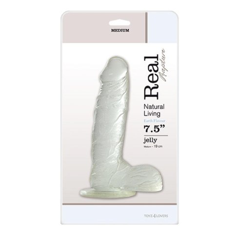 Dildo silikonowe 19cm przeźroczyste JELLY DILDO REAL RAPTURE CLEAR MSX Distribution S.r.l.