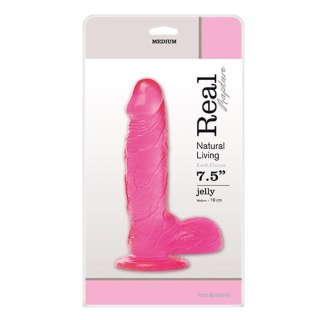 Dildo silikonowe 19cm różowe JELLY DILDO REAL RAPTURE PINK MSX Distribution S.r.l.