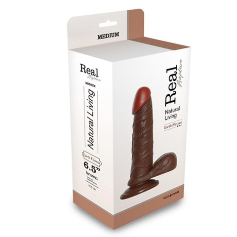 Dildo realistyczne 19cm brązowe REALISTIC DILDO REAL RAPTURE BROWN MSX Distribution S.r.l.