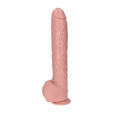 Dildo PVC cieliste 40x7cm Italian Cock MSX Distribution S.r.l.